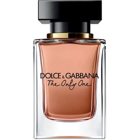 the only one dolce gabbana bewertung|dolce gabbana the one price.